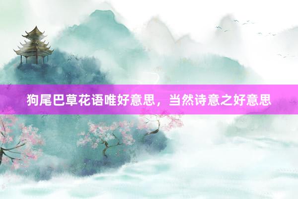 狗尾巴草花语唯好意思,当然诗意之好意思