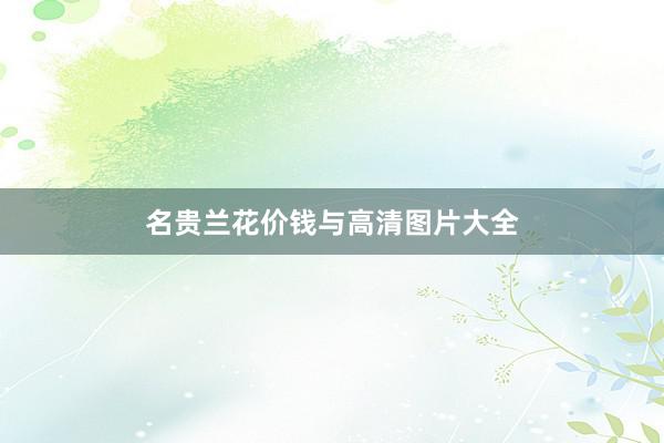名贵兰花价钱与高清图片大全
